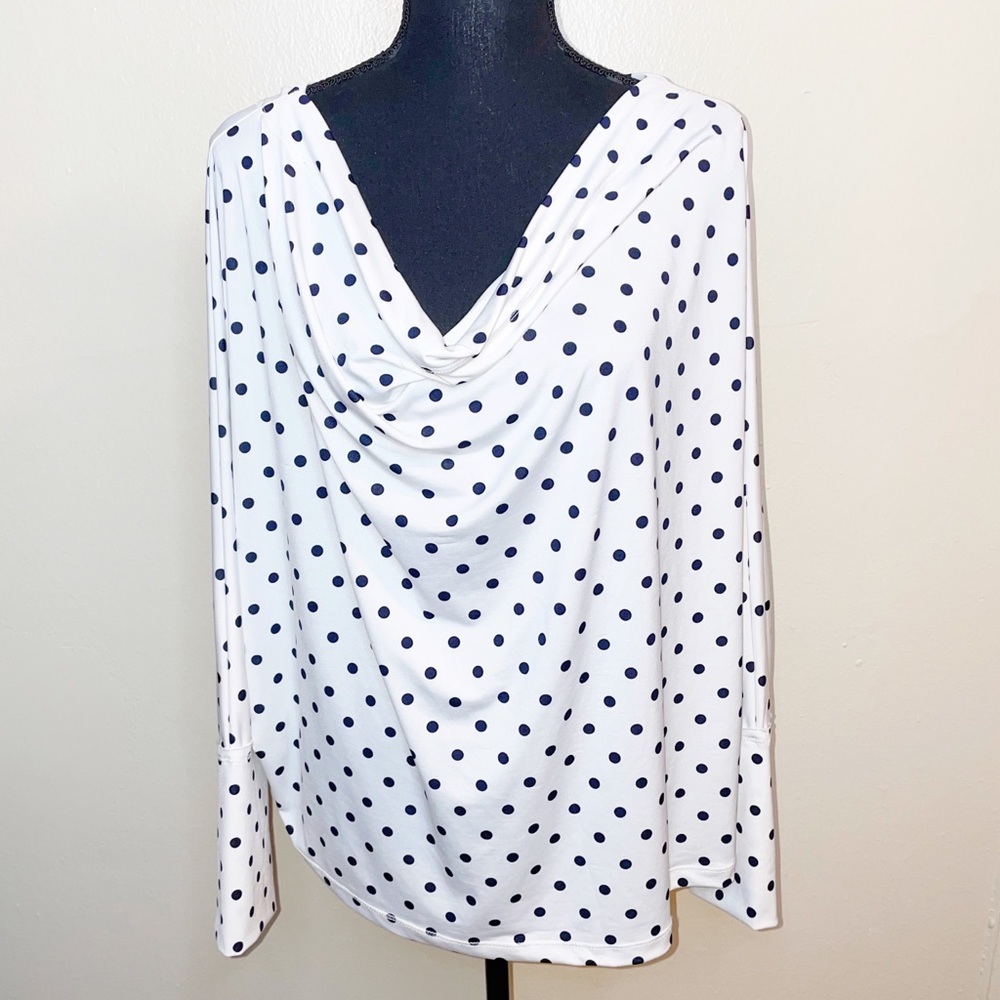 Fashionnova polka dot plunge blouse